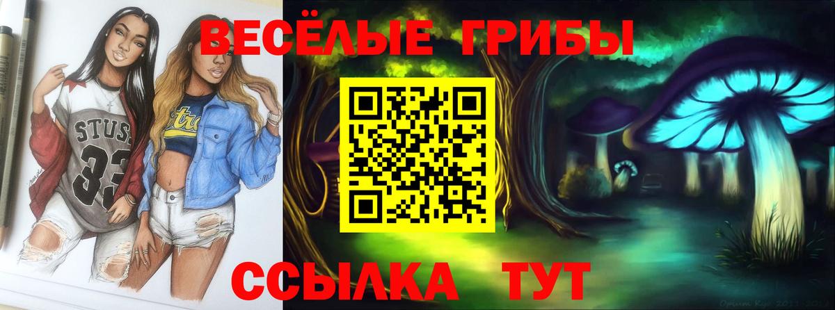 Галлюциногенные грибы Magic Shrooms Истра